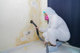 Environmental Consulting for Mold Prevention in Sylvania, GA